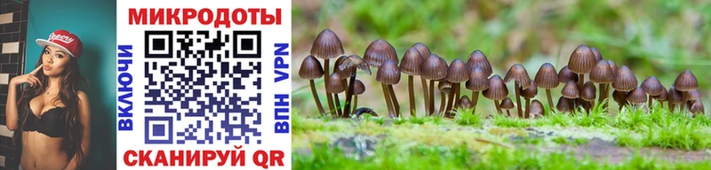 Псилоцибиновые грибы MAGIC MUSHROOMS  Купить где  Балахна 